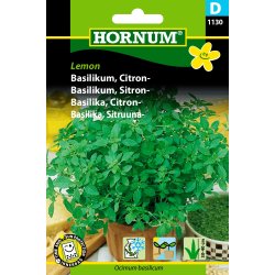 Hornum Basilikum, Citron-, Lemon