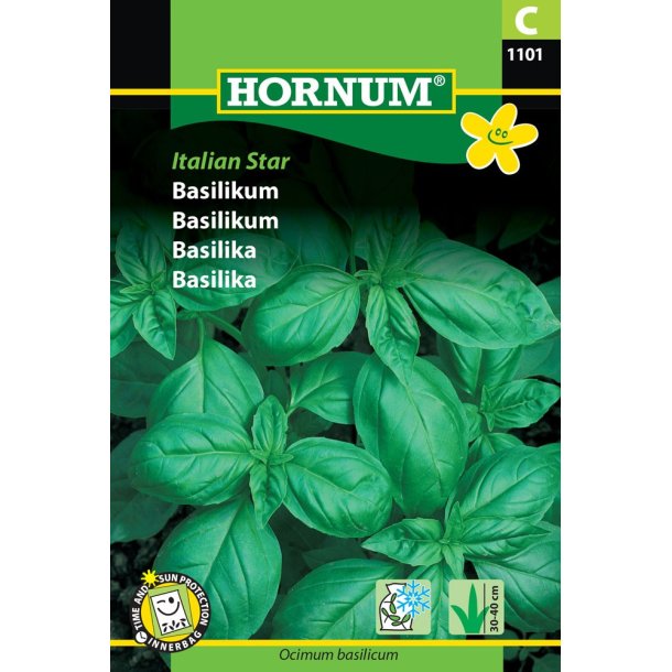 Hornum Basilikum, grn - Italian Star