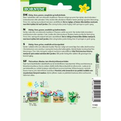 Hornum Basilikum, Salat-