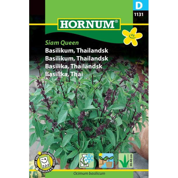 Hornum Basilikum, Thailandsk, Siam Queen