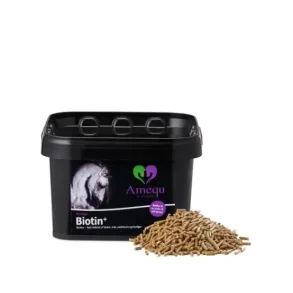 Amequ Biotin+, 1,5kg. 