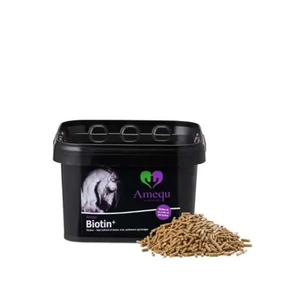 Amequ Biotin+, 1,5kg. 