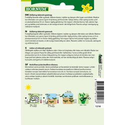 Hornum Bladbede, Bright Lights F1