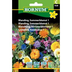 Hornum Blanding, Sommerblomst 1