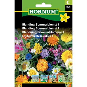 Hornum Blanding, Sommerblomst 1