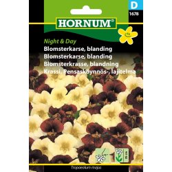 Hornum Blomsterkarse, blanding, Night &amp; Day