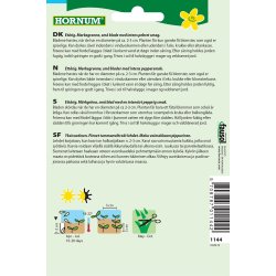 Hornum Blomsterkarse, Blue Pepe