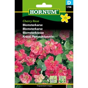 Hornum Blomsterkarse, Cherry Rose