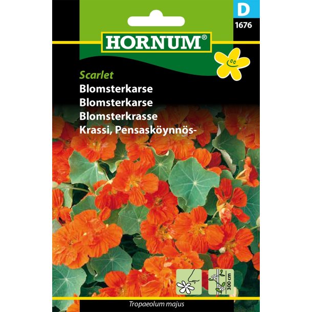 Hornum - Blomsterkarse, Scarlet