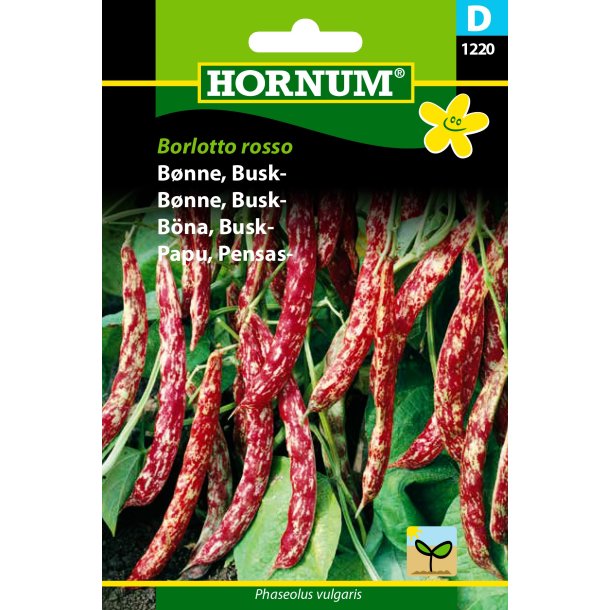 Hornum Bnne, Busk-, Borlotto rosso