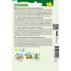 Hornum Bnne, Busk-, Borlotto rosso