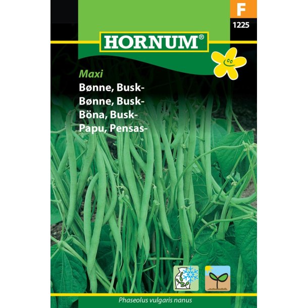Hornum Bnne, Busk-, Maxi