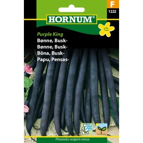 Hornum Bnne, Busk-, Purple King