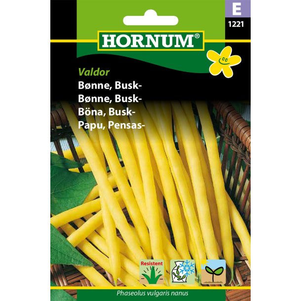 Hornum Bnne, Busk-, Dior