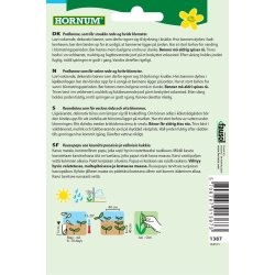 Hornum Bnne, Pral-, Hestia