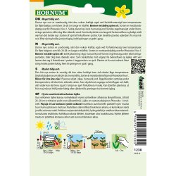 Hornum Bnne, Stang-, Algarve