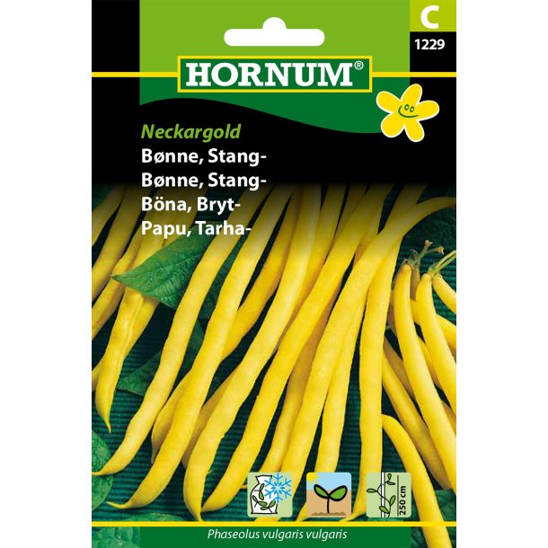 Hornum Bnne, Stang-, Neckar