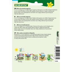 Hornum Chili, Lombardo