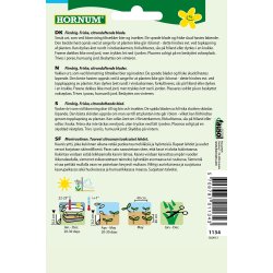 Hornum Citronmelisse, Lima