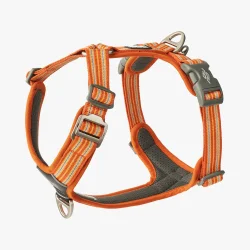 Dog Copenhagen Comfort Walk Air� Sele, Orange Sun