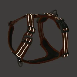 Dog Copenhagen Comfort Walk Air� Sele, Orange Sun