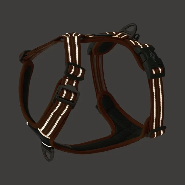 Dog Copenhagen Comfort Walk Air� Sele, Orange Sun