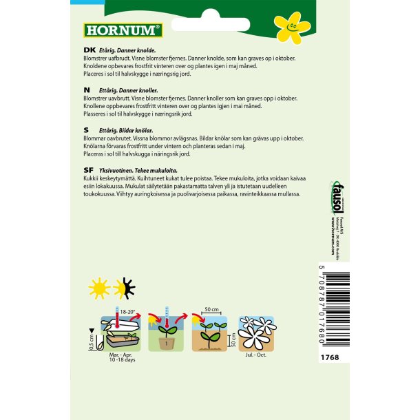 Hornum Dahlia, blanding, Mignon Dvarf