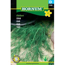 Hornum - Dild, Elefant