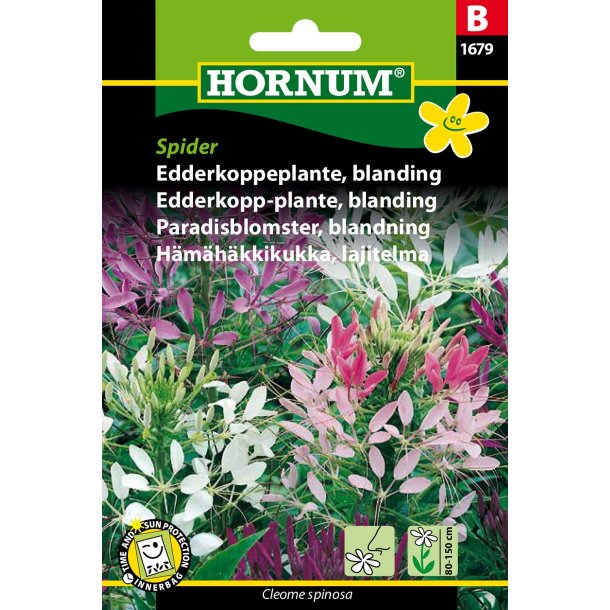 Hornum Edderkoppeplante, blanding, Spider