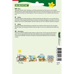 Hornum Edderkoppeplante, blanding, Spider