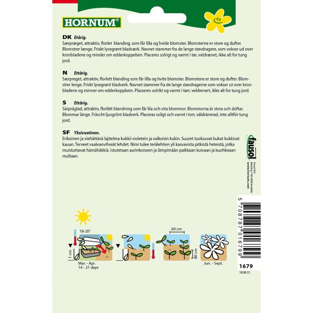 Hornum Edderkoppeplante, blanding, Spider