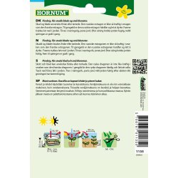 Hornum Estragon, Russisk