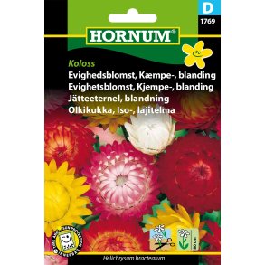 Hornum Evighedsblomst, Kmpe-, blanding