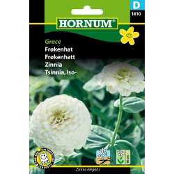 Hornum Frkenhat, Grace