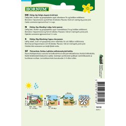 Hornum Frkenhat, Grace