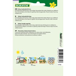 Hornum - Frkenhat, Green Envy