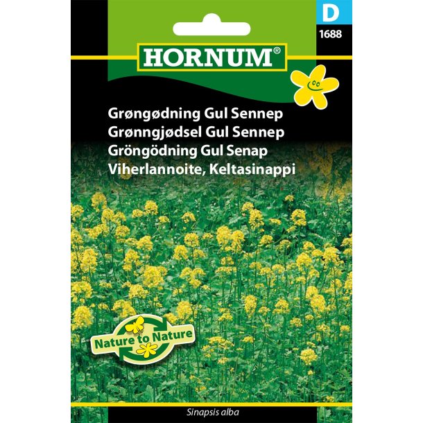 Hornum Grngdning Gul Sennep