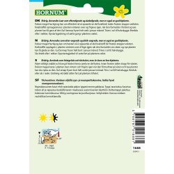 Hornum Grngdning Gul Sennep