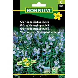 Hornum Grngdning Lupin, bl