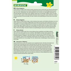 Hornum Grngdning Lupin, bl