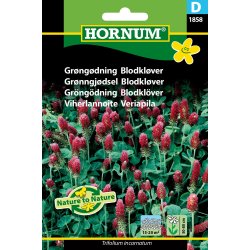 Hornum Grngdning Blodklver
