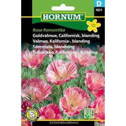 Hornum Guldvalme, Californisk, bl. Rosa R.