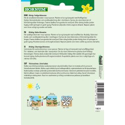 Hornum Guldvalme, Californisk, bl. Rosa R.