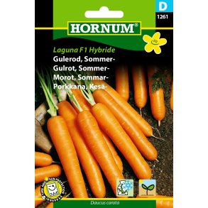 Hornum Gulerod, Sommer-, Laguna F1 Hybride