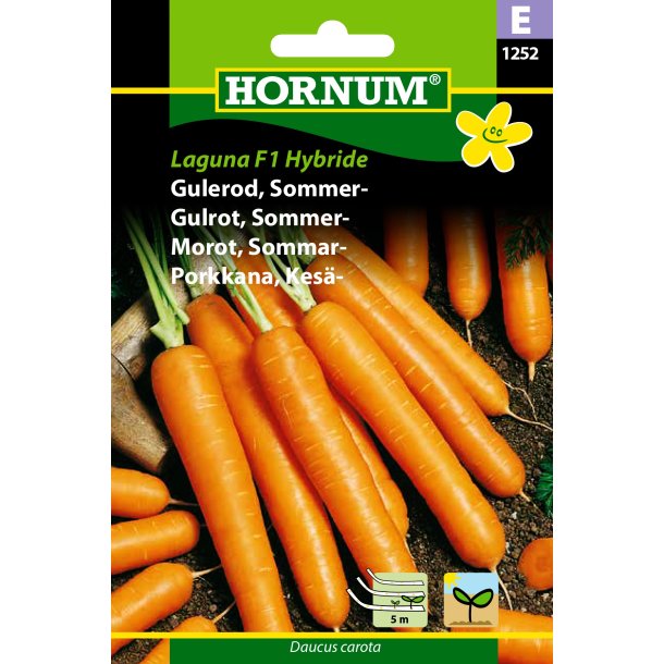 Hornum Gulerod, Sommer-, Laguna F1, Sbnd