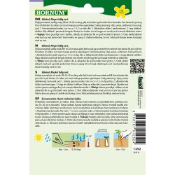 Hornum Gulerod, Sommer-, Laguna F1, Sbnd