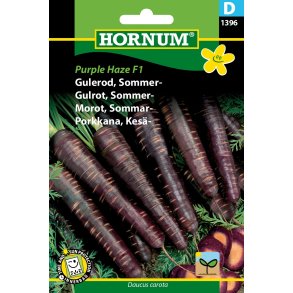 Hornum Gulerod, Sommer-, Purple Haze F1