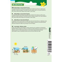 Hornum Gulerod, Sommer-, Purple Haze F1