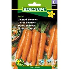 Hornum Gulerod, Sommer-, Rotin, MaxiPack