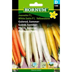 Hornum Gulerod, Sommer-, sbnd